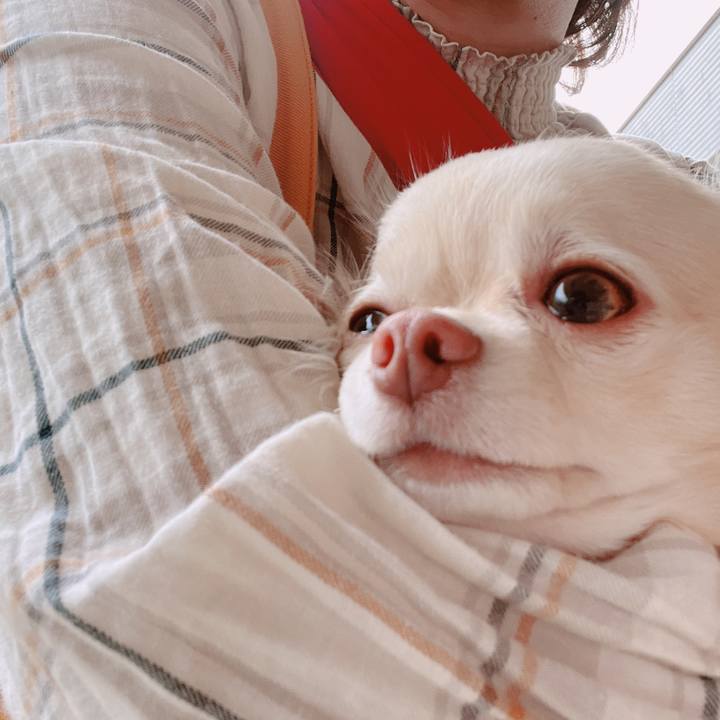 Ca08b4d7 7467 452e b4c3 b6e9bc2bb59b 1652602968307