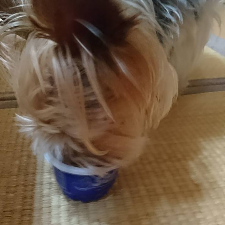 Ca08c2e1 d450 482e bac8 8b1872479fb0 1531895600175