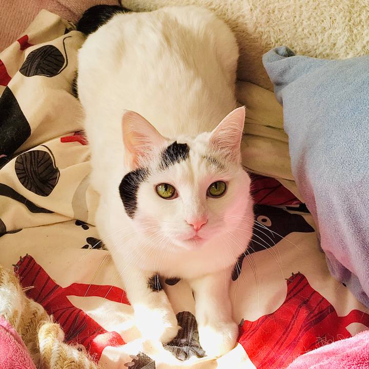 Ca08c910 82fd 4764 9bed 483d4462a225 1581306631890