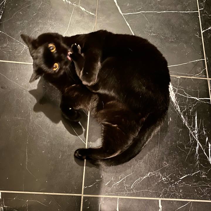 Ca08e843 6393 40e9 a82a 1c648d0d0d14 1710414272114