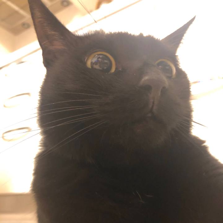 Ca0918a0 95ee 4304 8a4b cebf0469635d 1543671004782