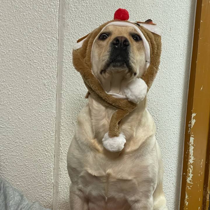 Ca0932cc c211 4787 bd64 181b8ca7ce02 1703503167536