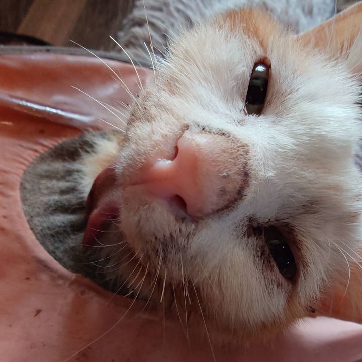 Ca094628 1f0d 4750 aa05 fa79639cf468 1767259566377