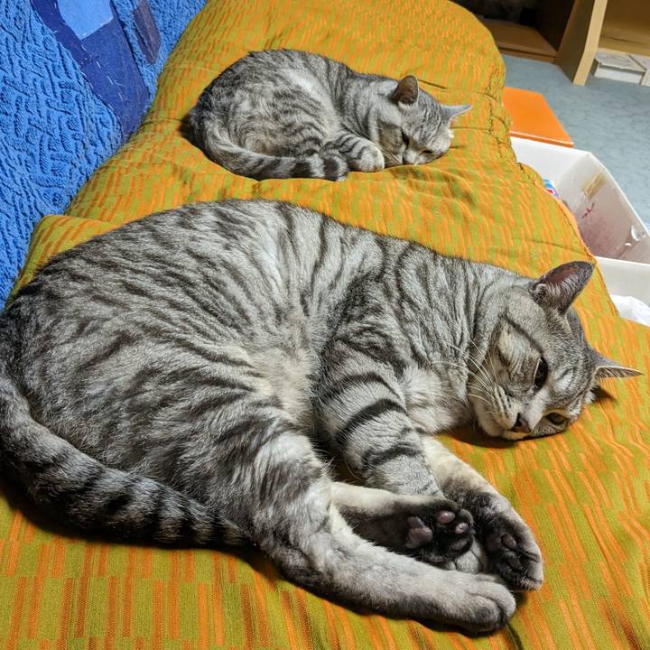 Ca096a72 2082 45ea 82b5 8b88f0602638 1693239448526