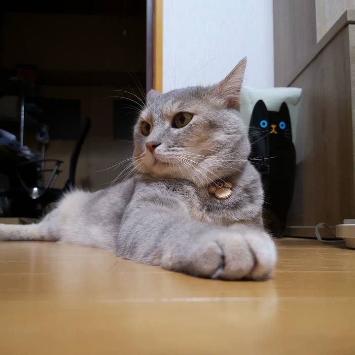 Ca097740 fba3 4f5c abd8 e0915d4573ae 1566827868933