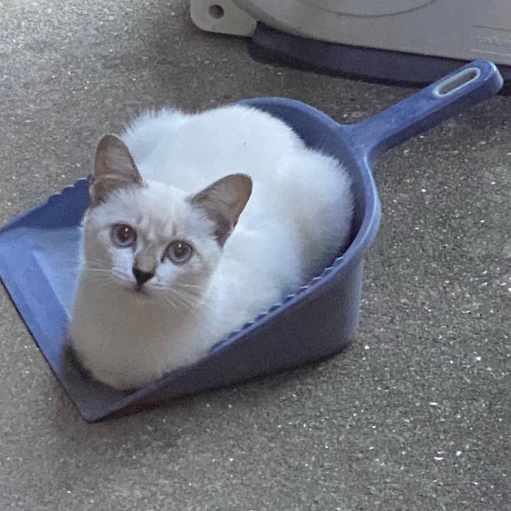 Ca09853f 6012 43f5 8741 e3d4bf9a3770 1663074882714