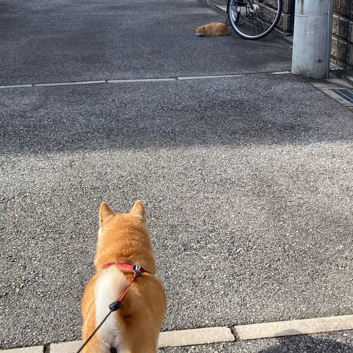 Ca09c351 b924 478f 9802 771212b443f4 1632984989383