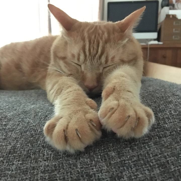 Ca0a1eac ce0f 468f 86e5 1db5da79304c 1569116180037