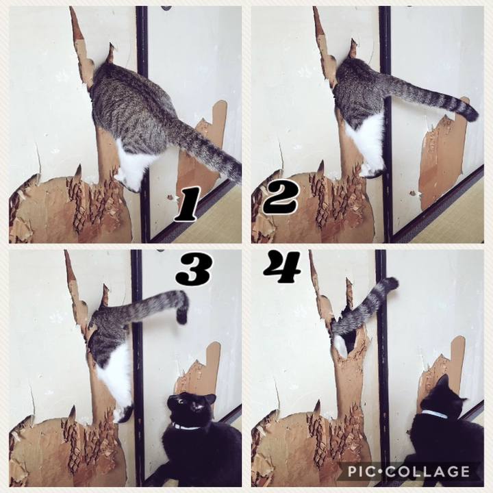 Ca0a2ebc 22eb 44ad 8a90 d911a8715e86 1518514719641