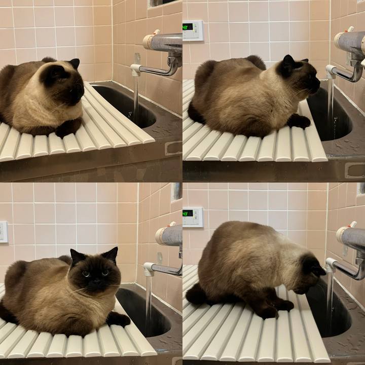 Ca0a5c20 cffd 4088 b0cb 901b6c570737 1646263360125