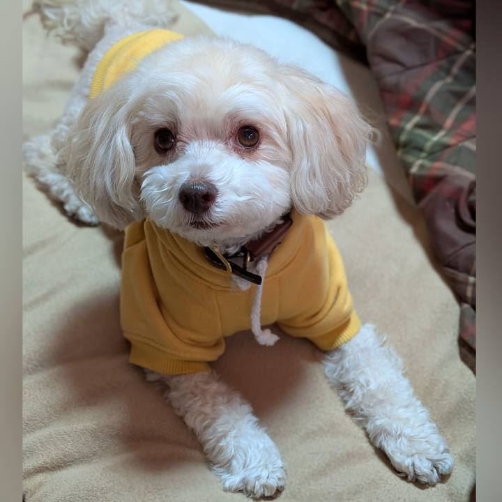 Ca0a5e40 356b 41a6 88fb 0519e239b137 1767185756585