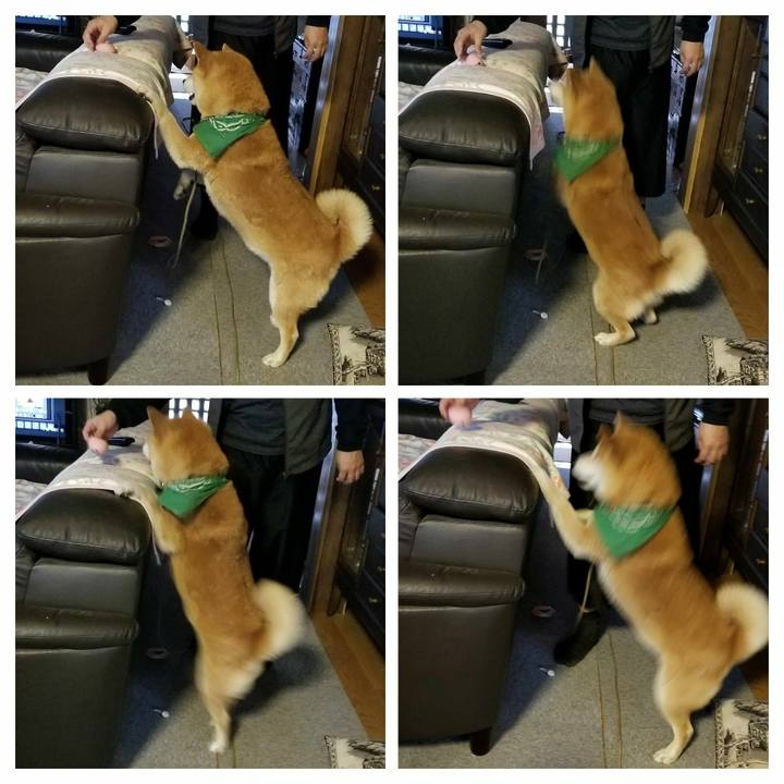 Ca0a7c75 abed 4be5 8fd6 714b9780db8f 1523523399430