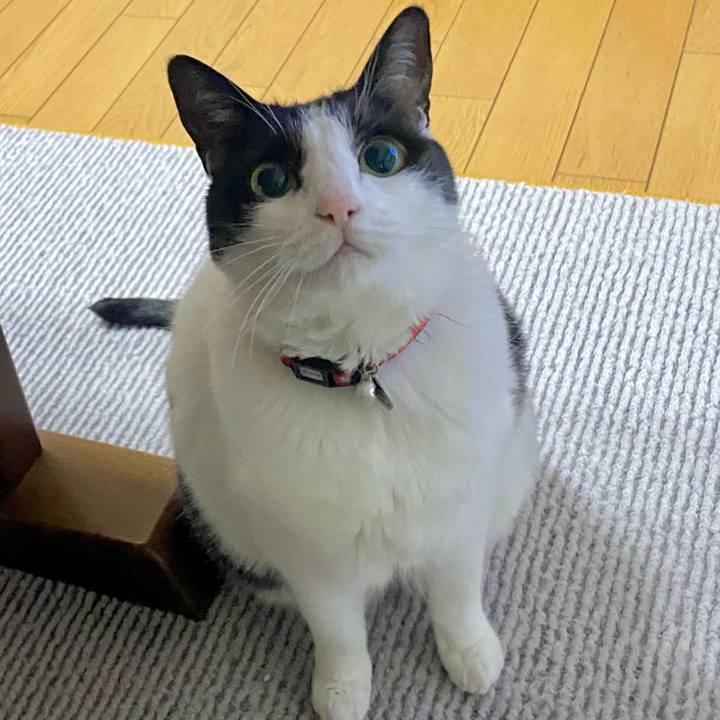 Ca0a9169 d6c4 4925 971d 8e7d0ec9e3fb 1736117729771