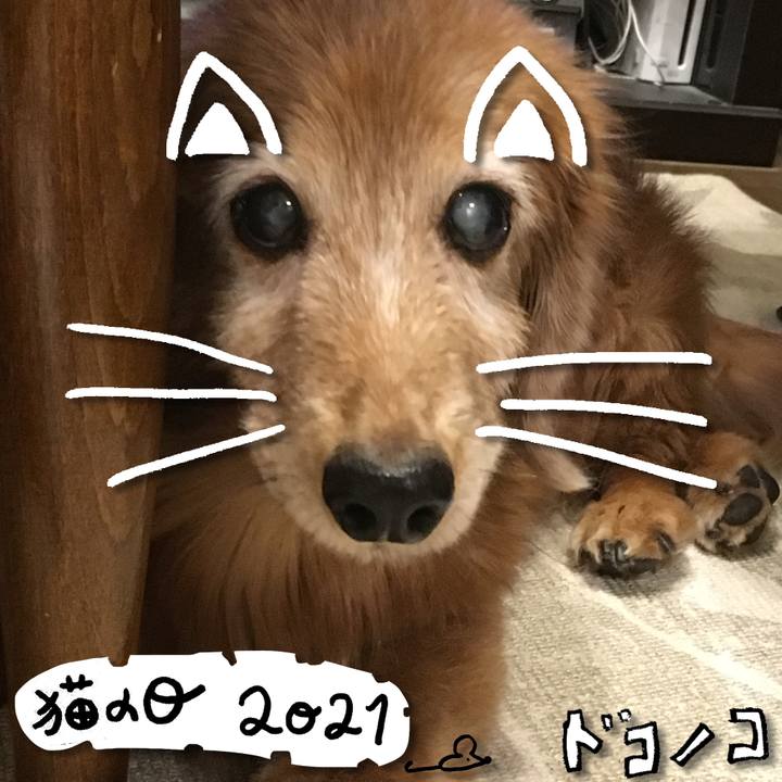 Ca0ab1c7 3113 44aa a9e3 f1882a2c02f0 1613991874322