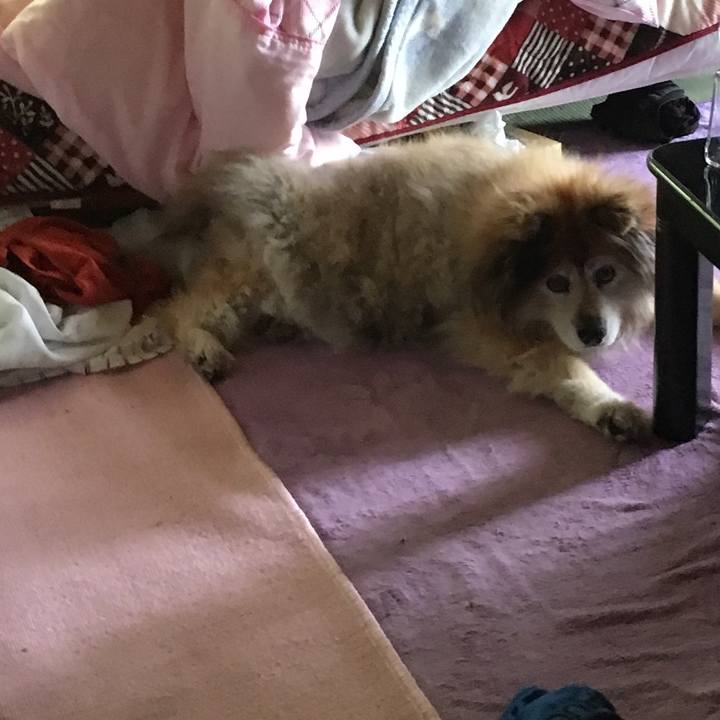 Ca0af4f1 15c4 4df9 a66f 6913d5d64214 1637242509455