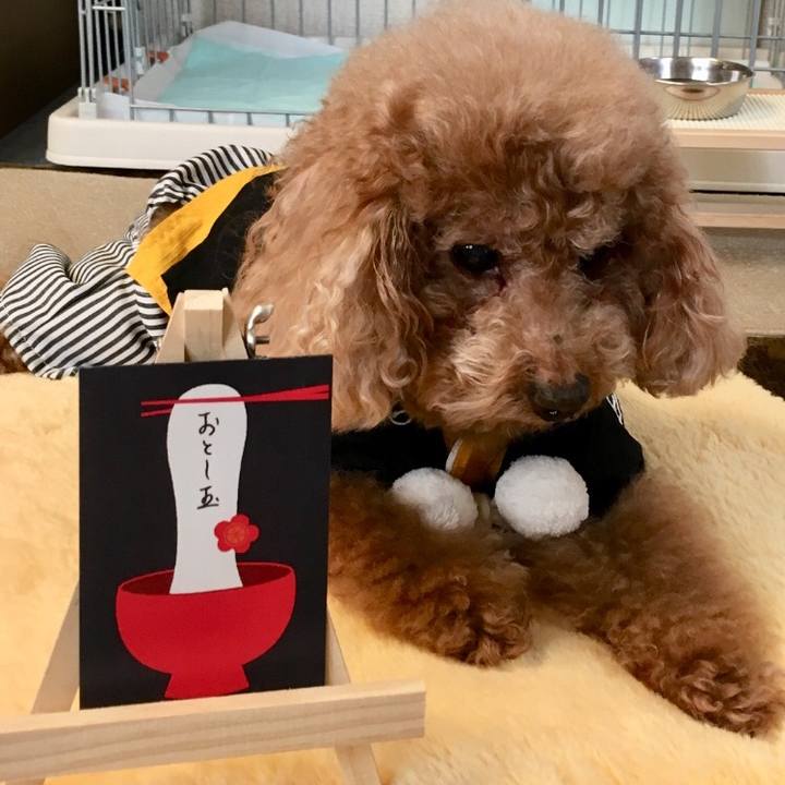 Ca0b05bc 8e02 481d a654 4bf24c7f7535 1577879213354