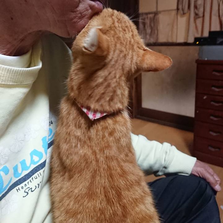 Ca0b338b 278b 4810 866f b1a5967be2ff 1603309788687