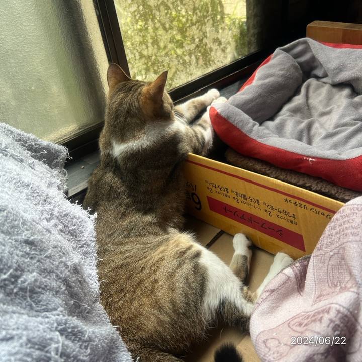 Ca0b6f35 56d3 44e4 b50f ac9b5ca45c29 1719017133213