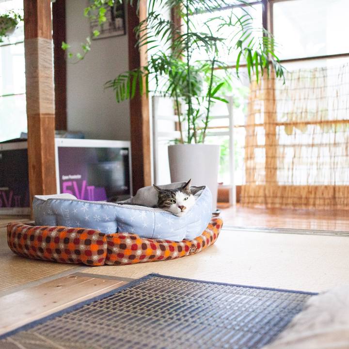 Ca0ba1f0 1d21 4001 bd9a 419f6e254431 1559967667180