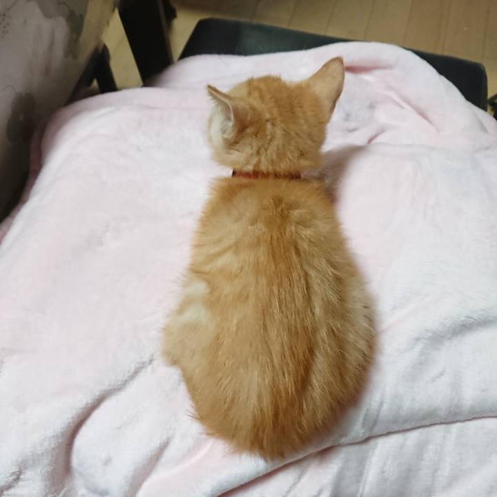 Ca0bc6d6 e55e 43c3 afa1 97d307a39f90 1630495235187