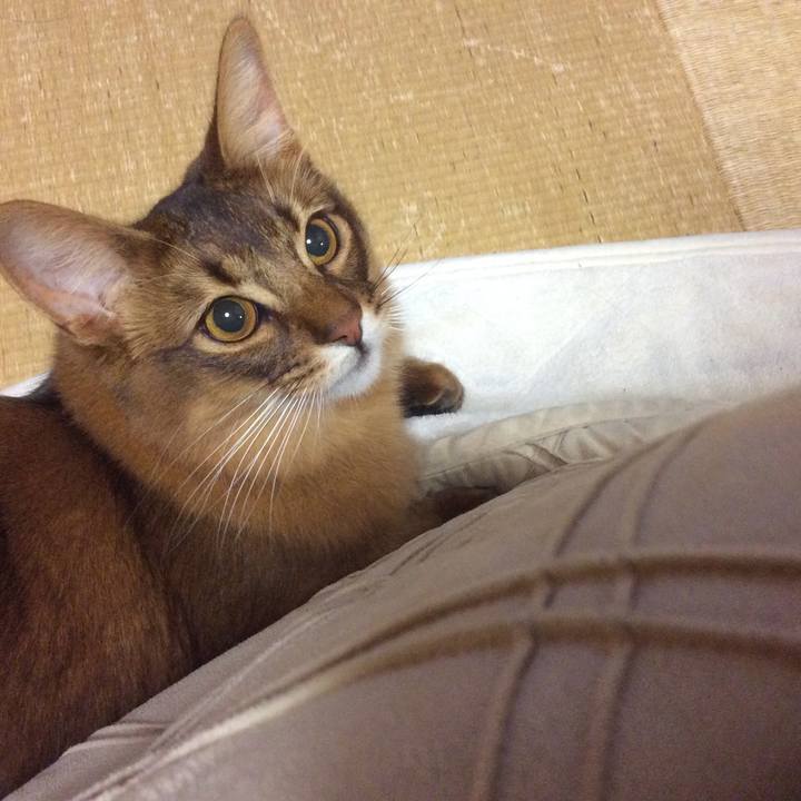 Ca0bc8dc a355 4f56 9272 f482be1b5fb4 1611534614846