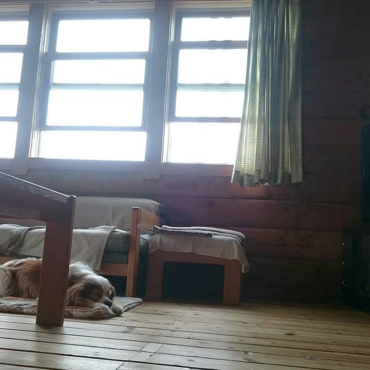 Ca0be561 fb79 4457 8bff afe352b03030 1533986993339