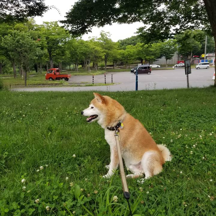 Ca0bf3b6 f889 4a2a b5bd 170bb415d8fb 1658306877520