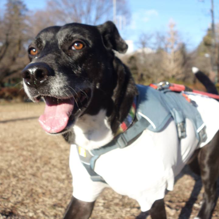 Ca0bfe02 95f3 4f2b 85eb 96f43f53ffab 1706057389489