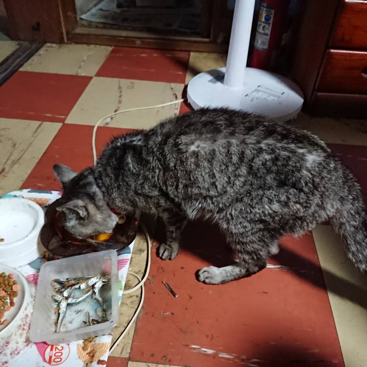 Ca0c11b2 d832 409e 83c2 f1937ace6311 1592164522551