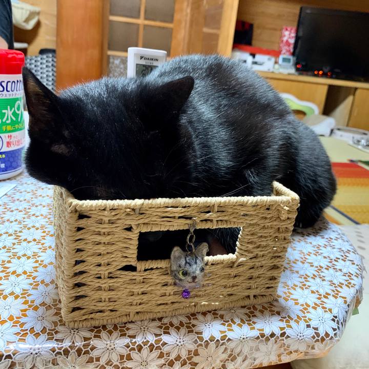 Ca0c182b 51b1 4c10 867d 1fca60b17dc4 1596107521210