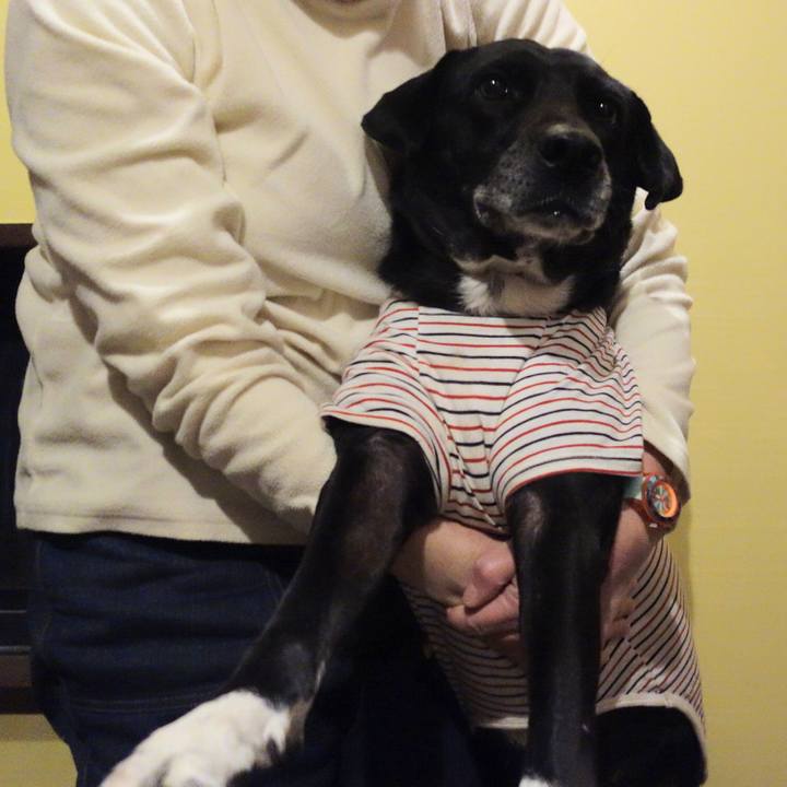 Ca0c50b1 671b 4160 a799 8a7fd571b044 1673522388947