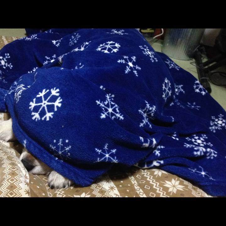 Ca0c6a12 0527 48c5 a4c2 dc9800df0739 1636220940899