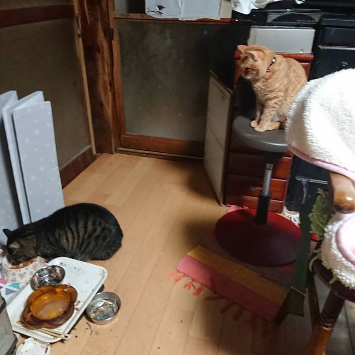 Ca0c79f3 f01b 43fd 8fbb cdf6cbecee5b 1638651204629