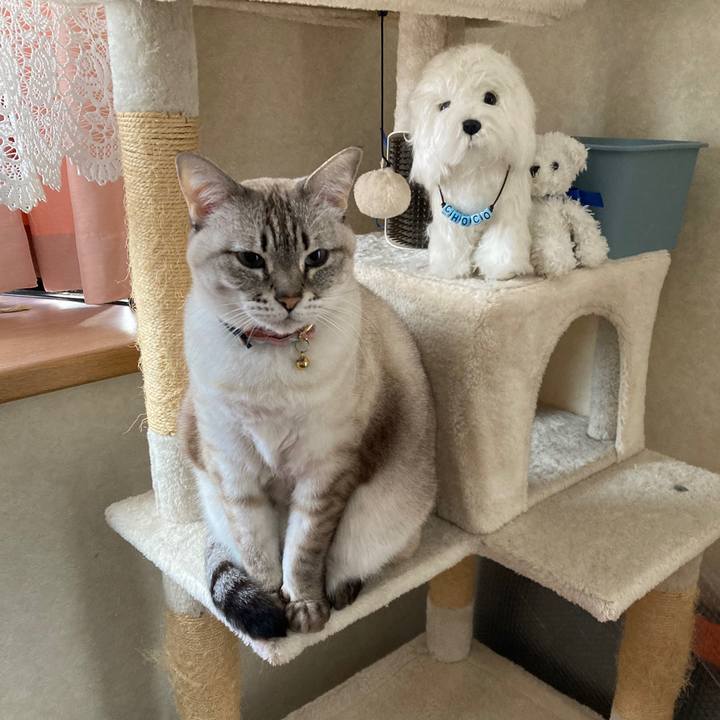 Ca0c7cd3 c94c 4678 83b3 cb07e00b4662 1769253861830