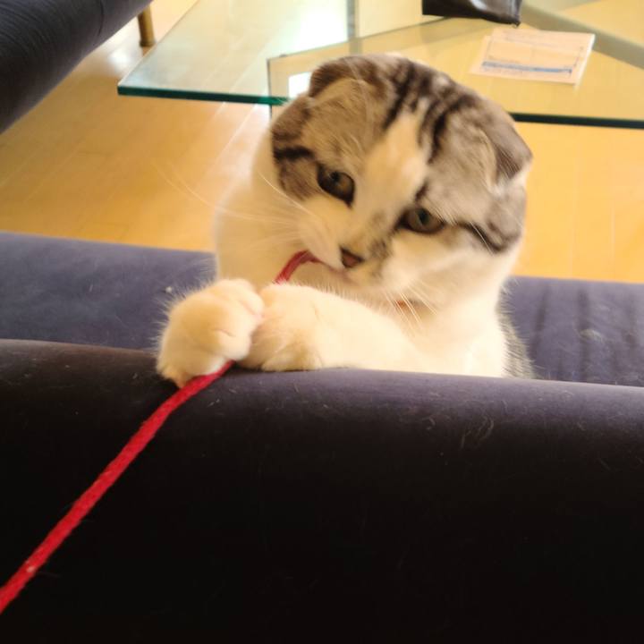 Ca0c8d01 cf70 49da 8dae 67e84aeab0c4 1647331583201