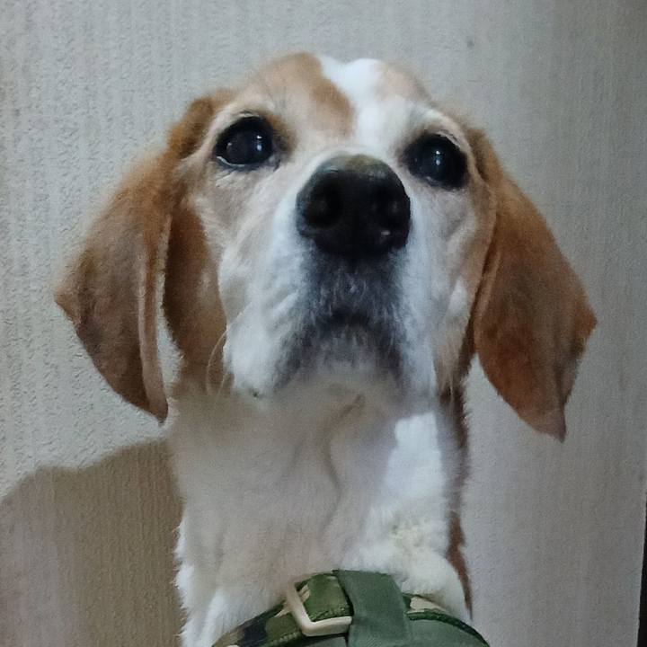 Ca0ca503 e616 4c7a 8b1b 0354946b5b61 1766644856999