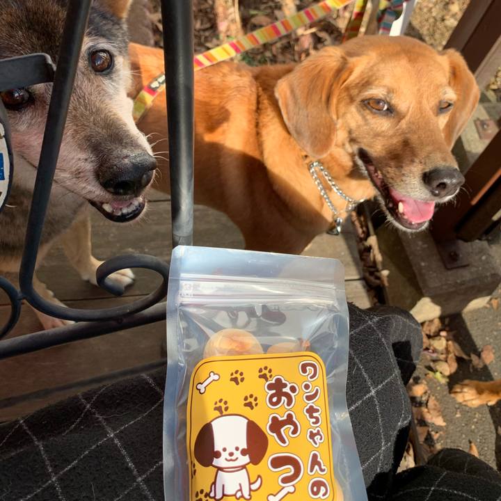 Ca0cb935 d8d0 4547 b376 e54a14c2366b 1574414435188