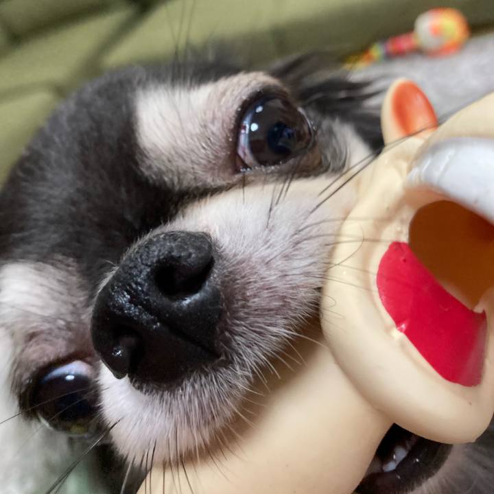 Ca0ce080 7b22 4bd1 95f2 3b5124ff2dce 1665240909950