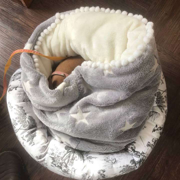 Ca0cee76 768d 4094 92da 6580a2dfce3e 1514384201042