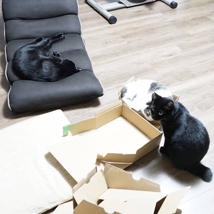 Ca0cefae feec 4fd1 832f fd51d5543d98 1565706111437