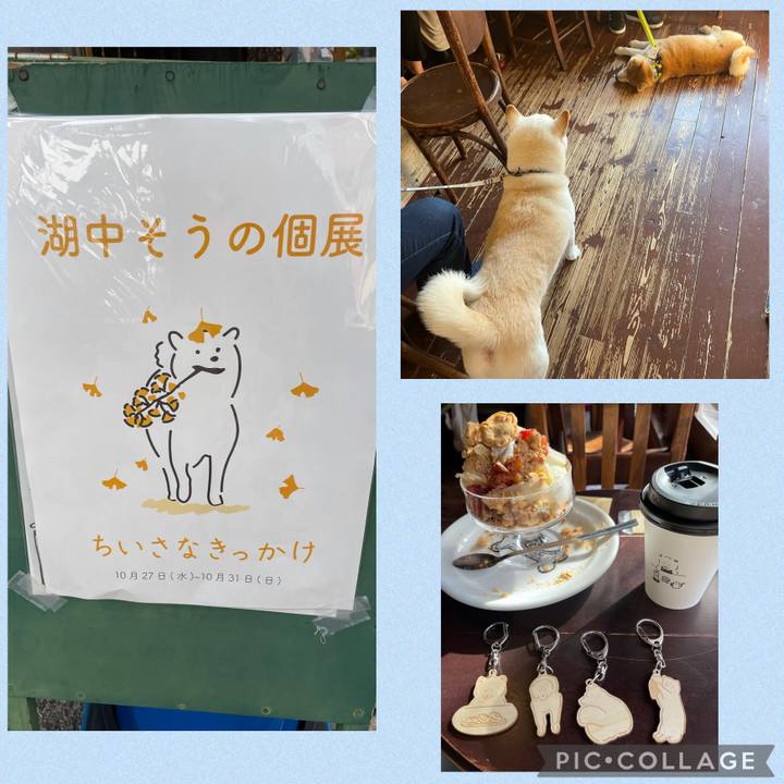 Ca0cf0d0 8d44 4cb3 addd f837e35d4ec8 1635316171610