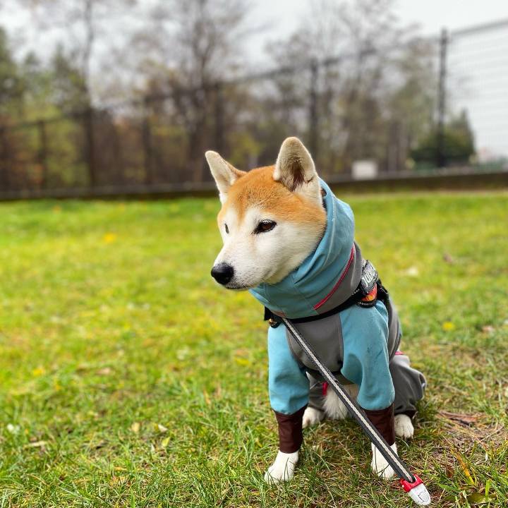 Ca0cf3e0 2b93 49cb be2d 746cf16a7e20 1636421646220