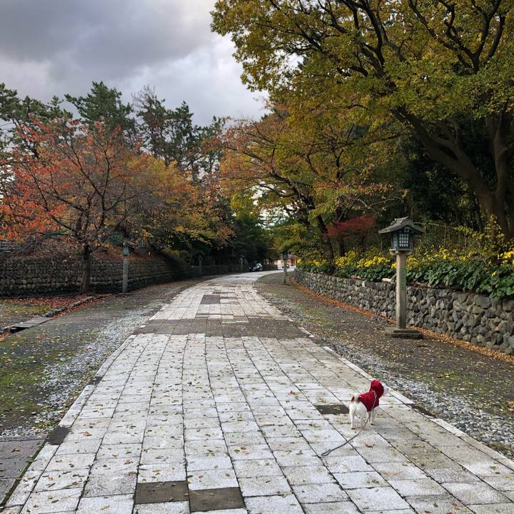 Ca0cfec4 5a6a 48d6 af17 dc5b9f0c050c 1605051475159