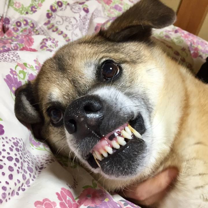 Ca0d0164 f887 4afd 9331 36fc83b9f628 1573302288590