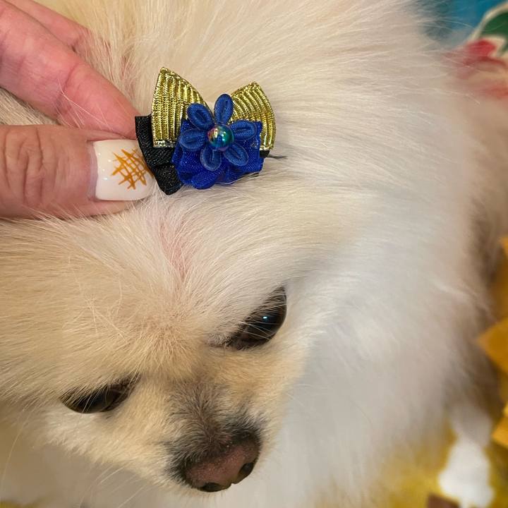 Ca0d0bef 7583 4c51 8d8c 65a3535ff90d 1642686289651