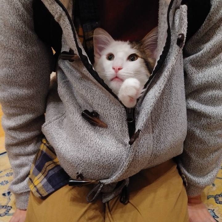 Ca0d1b42 6ca3 4717 81af 79aacf50c312 1758773082419