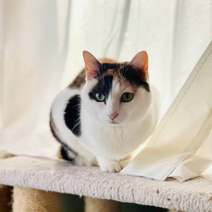 Ca0d39d7 3b11 4594 835f e7d7295e6450 1613104824837