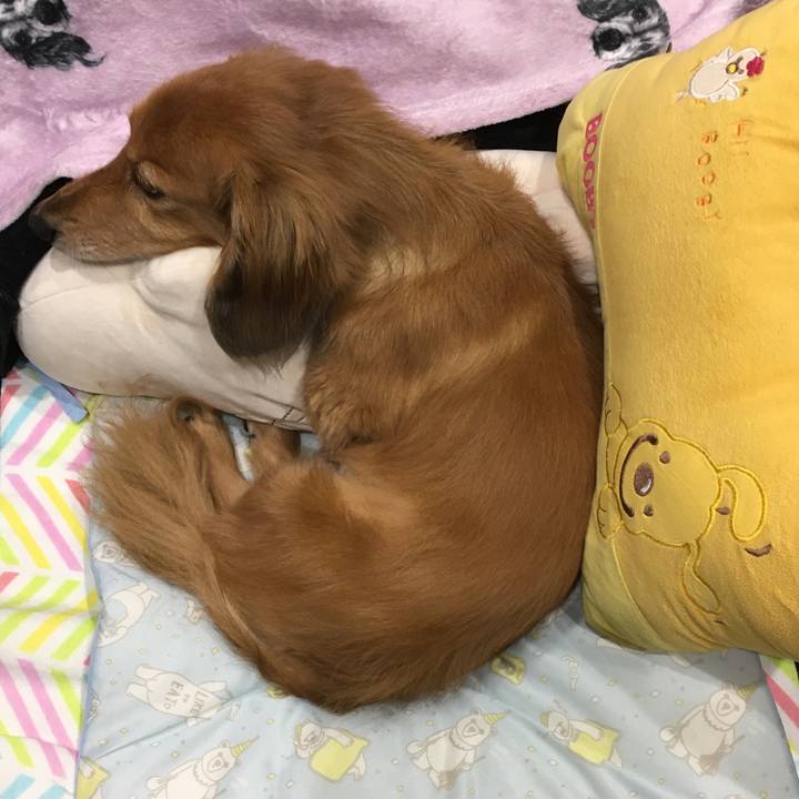 Ca0d7038 e4cd 4673 a8a8 d2fdafeb1b2a 1590587411257