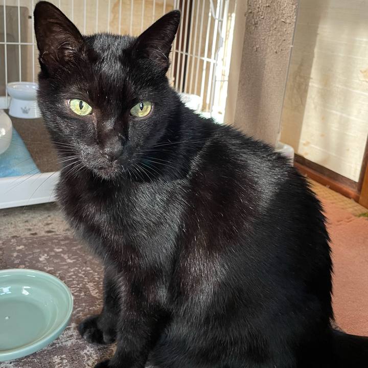 Ca0da2f8 76c9 4061 8de3 a6ecfc508c27 1635991274168