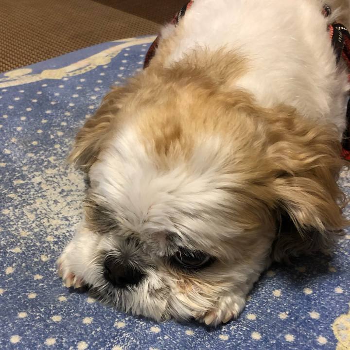 Ca0dd8dd 824d 40a6 93c1 d2ed98bf8985 1593821397847